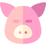 Carne de cerdo a domicilio