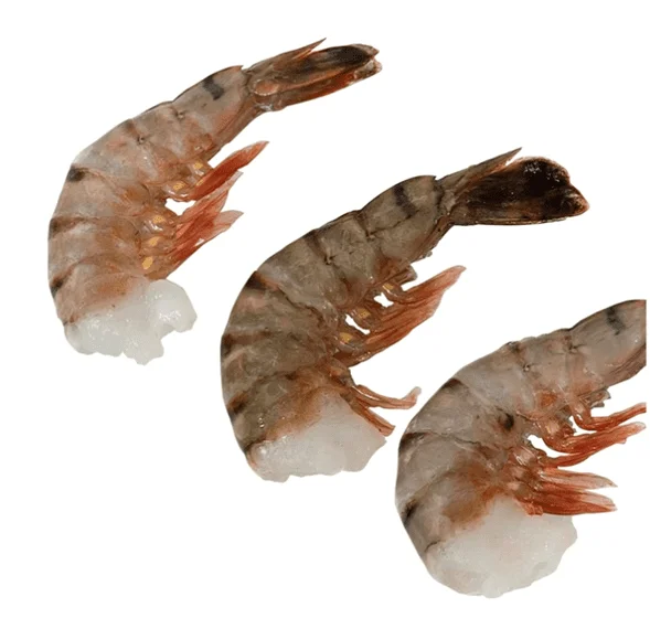 Langostino Supercolosal con Caparazón U12 Paquete x 500 gr