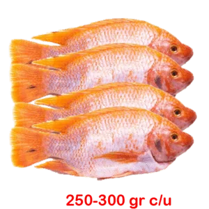 Mojarra Premium en Promoción a Domicilio