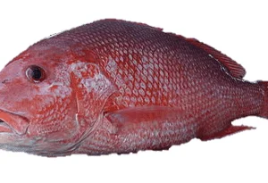 Pargo Rojo Entero XL Extra grande a domicilio