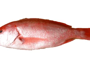 Pargo Rojo a Domicilio