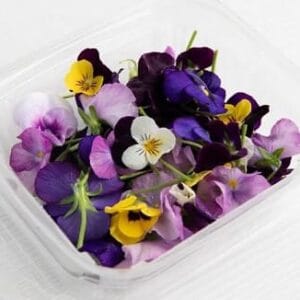 Flores Comestibles Surtidas estuche