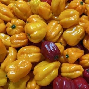 Ají Habanero Fresco x 500 gr