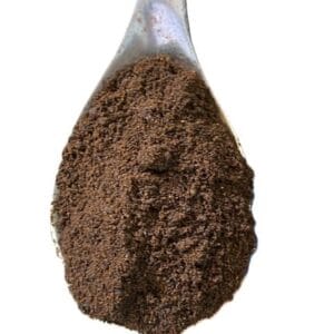 Mole Negro en polvo